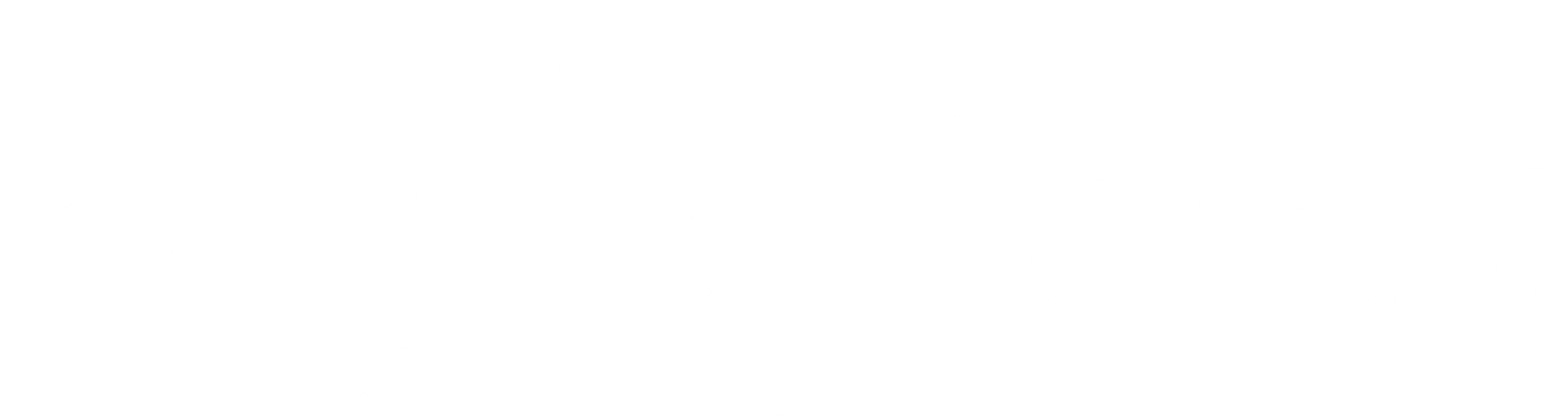 allsports-logo-white
